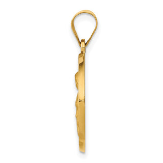 14k Yellow Gold Polished and Satin St. Rita Hollow Medal Pendant
