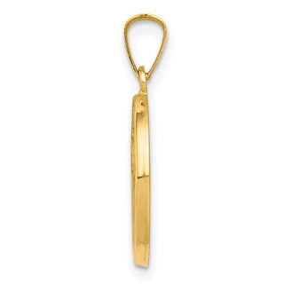14k Yellow Gold Polished and Satin Spanish 1st Communion Medal Pendant XR1699