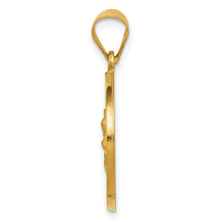 14k Yellow Gold Hollow Polish/Satin Round Spanish Perpetuo Socorro Medal Pendant