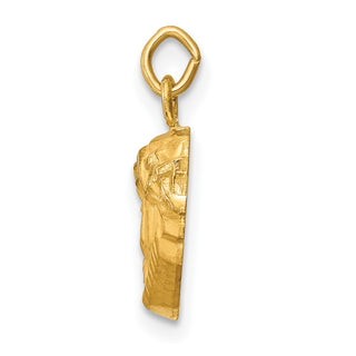 14K Yellow Gold Hollow Polished/Satin Small Jesus Medal Pendant XR1733