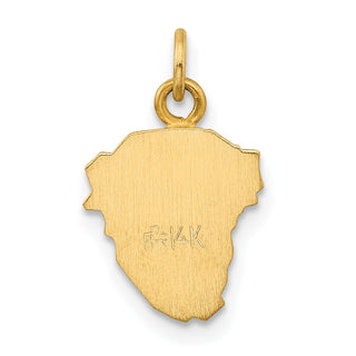 14K Yellow Gold Hollow Polished/Satin Small Jesus Medal Pendant XR1733