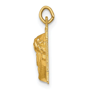 14K Yellow Gold Hollow Polished/Satin Small Jesus Cross Medal Pendant