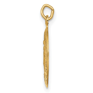 14K Yellow Gold Solid Polished/Satin Small Oval Miraculous Medal Pendant