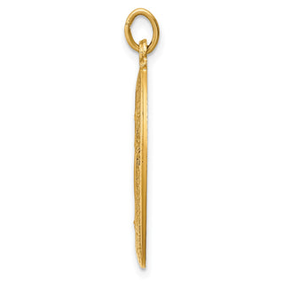 14K Yellow Gold Solid Polished/Satin Medium Oval Miraculous Medal Pendant XR1758