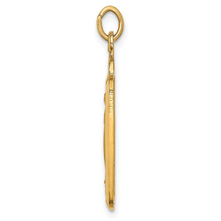 14K Yellow Gold Solid Polished/Satin Rectangle w/Fan Top Miraculous Medal Pendant