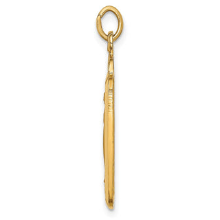 14K Yellow Gold Solid Polished/Satin Rectangle w/Fan Top Miraculous Medal Pendant