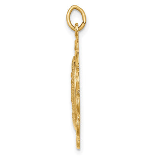 14K Yellow Gold Solid Polished/Satin Fancy Pierced Oval Miraculous Medal Pendant XR1763