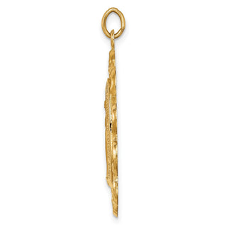 14K Yellow Gold Solid Polished/Satin Fancy Pierced Oval Miraculous Medal Pendant XR1764