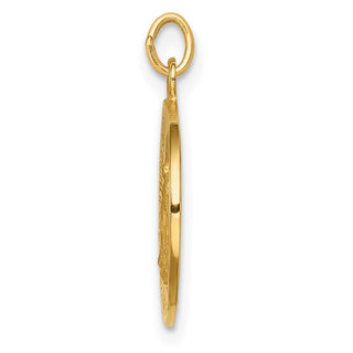 14K Yellow Gold Solid Polished/Satin Round Miraculous Medal Pendant XR1765