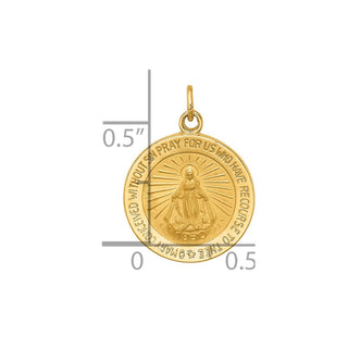14K Yellow Gold Solid Polished/Satin Round Miraculous Medal Pendant XR1765