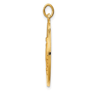 14K Yellow Gold Solid Polished/Satin Round Miraculous Medal Pendant XR1766