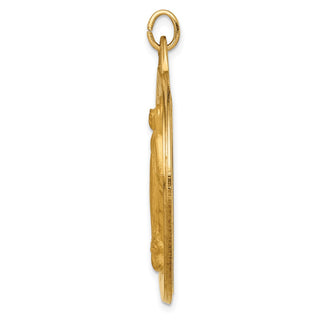 14K Yellow Gold Solid Polished/Satin Large Round Miraculous Medal Pendant XR1767
