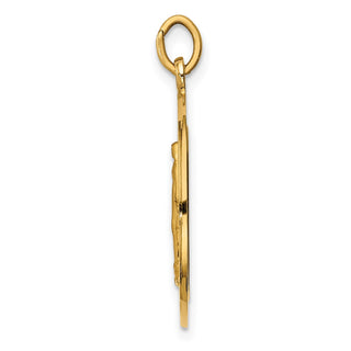 14K Yellow Gold Solid Polished/Satin Medium Round Miraculous Medal Pendant