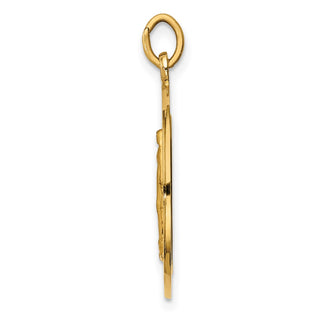 14K Yellow Gold Solid Polished/Satin Medium Round Miraculous Medal Pendant