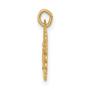 14K Yellow Gold Solid Polished/Satin Tiny Round Scalloped Miraculous Medal Pendant