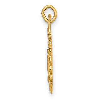 14K Yellow Gold Solid Polished/Satin Small Round Scalloped Miraculous Medal Pendant