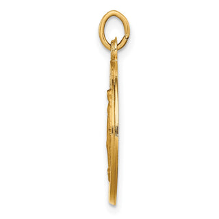 14K Yellow Gold Solid Polished/Satin Small Round Miraculous Medal Pendant