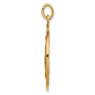 14K Yellow Gold Solid Polished/Satin Large Round Miraculous Medal Pendant XR1774