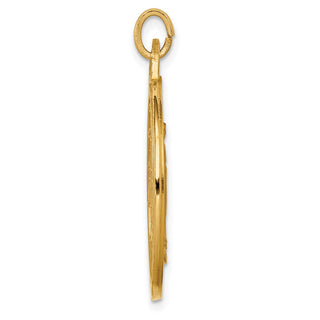 14K Yellow Gold Solid Polished/Satin Extra Large Round Miraculous Medal Pendant