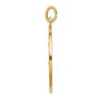 14K Yellow Gold Solid Polished/Satin Large Round St. Anthony Medal Pendant