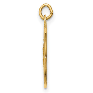 14K Yellow Gold Solid Polished/Satin Small Round St. Christopher Medal Pendant XR1790