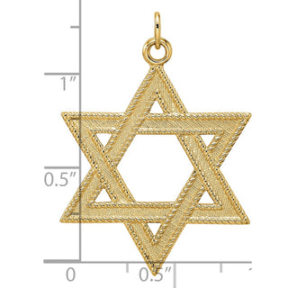14k Yellow Gold Polished and Textured Solid Star of David Pendant XR1959