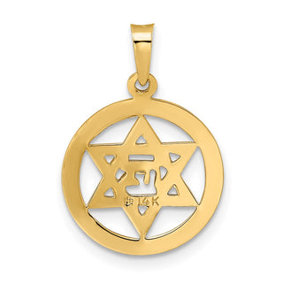 14k Yellow Gold Polished and Enameled Solid Star of David Pendant XR1965