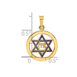 14k Yellow Gold Polished and Enameled Solid Star of David Pendant XR1965