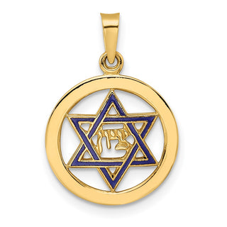 14k Yellow Gold Polished and Enameled Solid Star of David Pendant XR1965