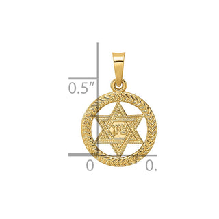 14k Yellow Gold Polished and Textured Solid Star of David in Frame Pendant