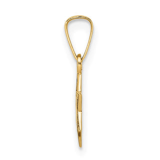 14k Yellow Gold Polished and Enameled Solid Star of David Pendant XR1971