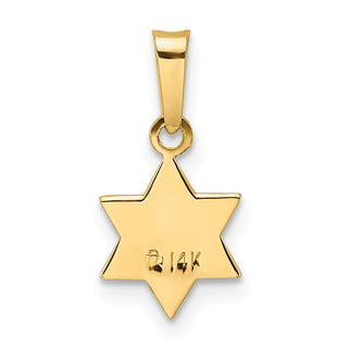14k Yellow Gold Polished and Enameled Solid Star of David Pendant XR1971