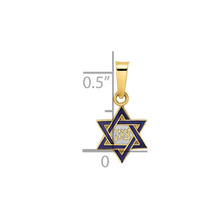 14k Yellow Gold Polished and Enameled Solid Star of David Pendant XR1971