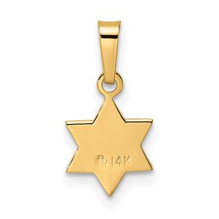 14k Yellow Gold Polished & Textured Solid Star of David Pendant