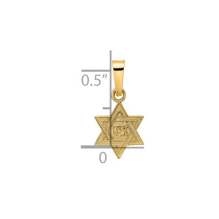 14k Yellow Gold Polished & Textured Solid Star of David Pendant