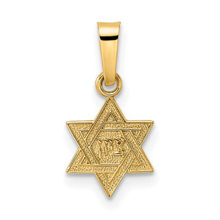 14k Yellow Gold Polished & Textured Solid Star of David Pendant