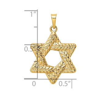 14k Yellow Gold Polished and Textured Solid Star of David Pendant XR1977