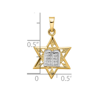 14k Two-tone Gold Polished Solid Star and Torah Pendant