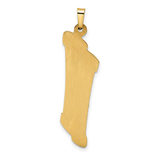 14k Two-tone Gold Hollow Mezuzah and Star Pendant