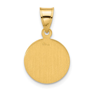 14K Yellow Gold Polished and Satin Solid Face of Jesus Medal Pendant
