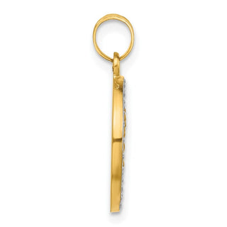 14K Yellow Gold and White Rhodium-plating Hollow Our Lady of Mt Carmel Medal Pendant
