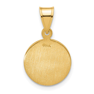 14K Yellow Gold Polished and Satin Solid Our Lady of Perpetual Help Medal Pendant