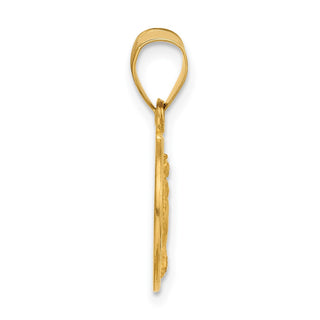 14K Yellow Gold Polished and Satin Solid Miraculous Mary Plain Back Medal Pendant XR2107