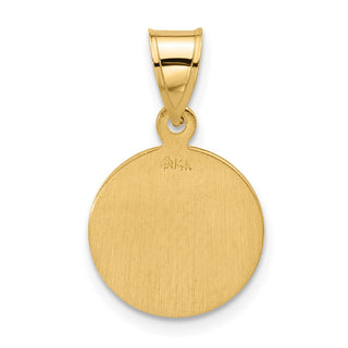 14K Yellow Gold Polished and Satin Solid Miraculous Mary Plain Back Medal Pendant XR2107