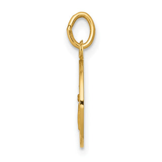 14K Yellow Gold Guardian Angel Medal Charm XR328