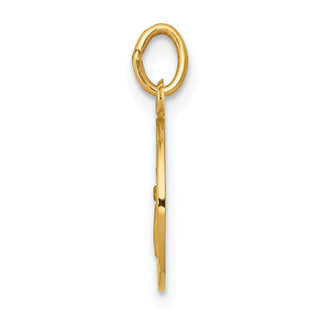 14K Yellow Gold Guardian Angel Medal Charm XR328
