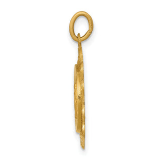14K Yellow Gold Miraculous Medal Charm XR330