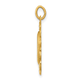 14K Yellow Gold Miraculous Medal Charm XR331
