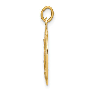 14K Yellow Gold Miraculous Medal Charm XR332