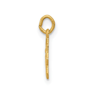 14K Yellow Gold Blessed Mary Charm XR337